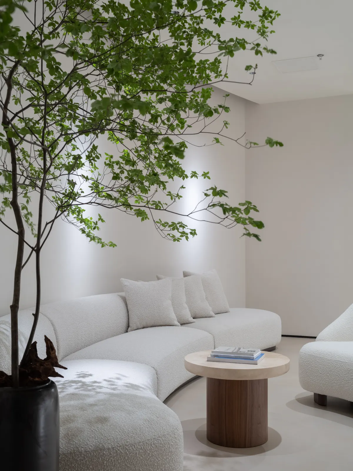 Lounge seating beneath an indoor tree
